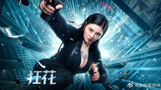 瓦萨学院Accounting Diplom